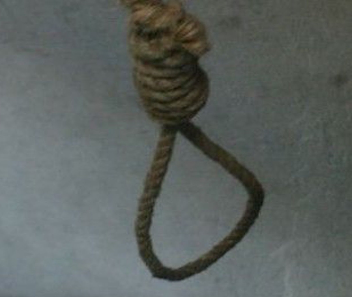 Lazo 2
