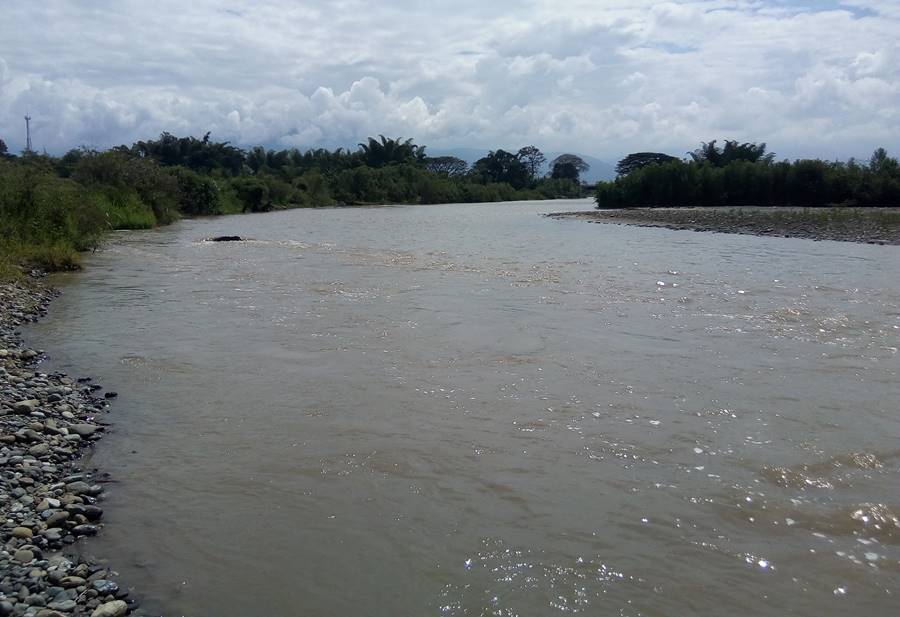 Rio El Palo