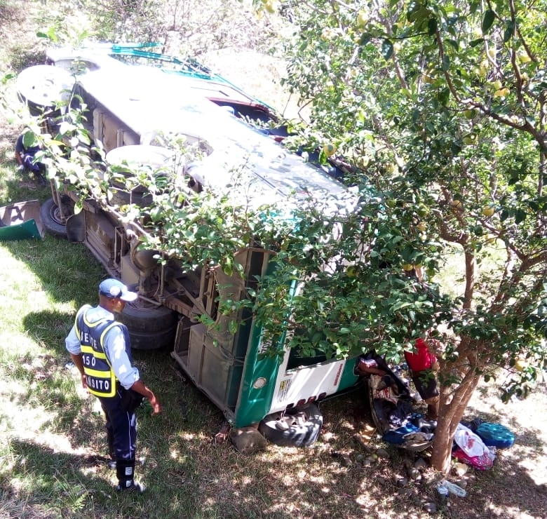 Bus Trans Tambo