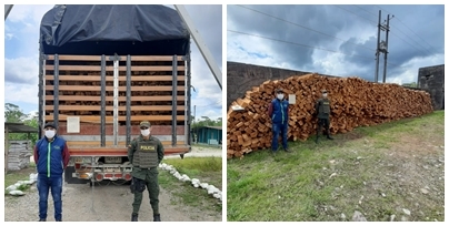 Madera 3