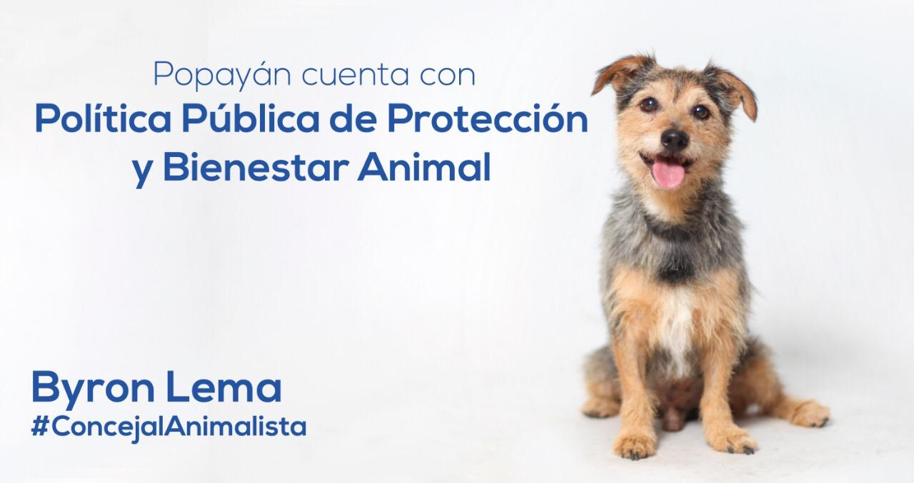 Politica Publica Animalista