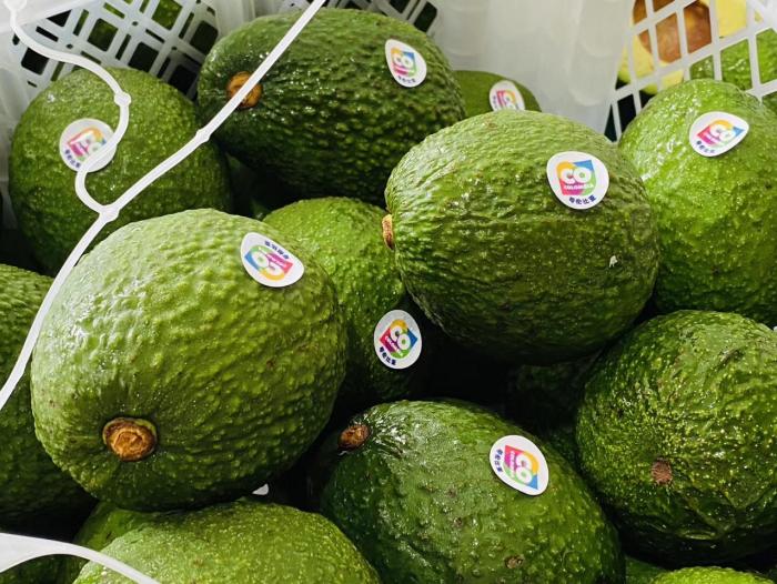 Aguacate Hass