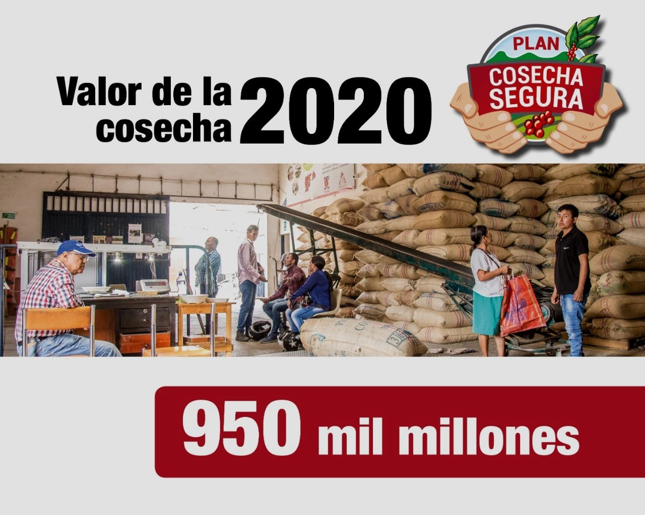 Cosecha 1