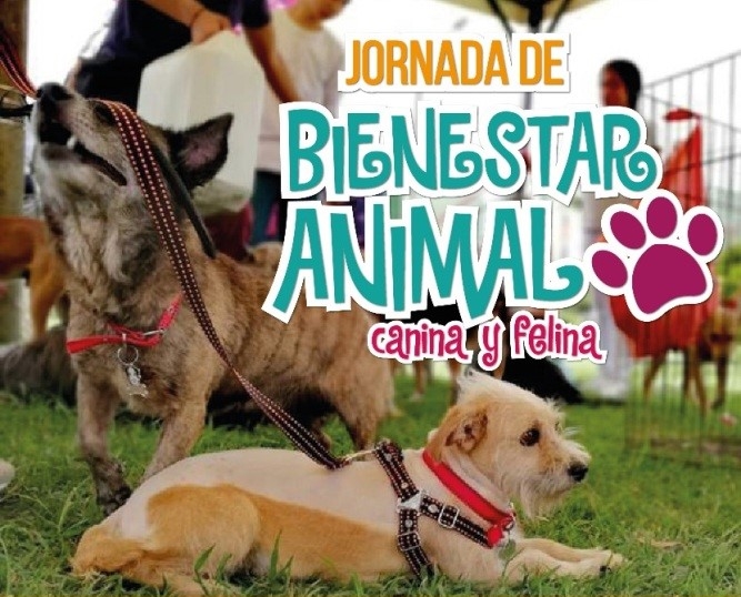 Jornada Canina