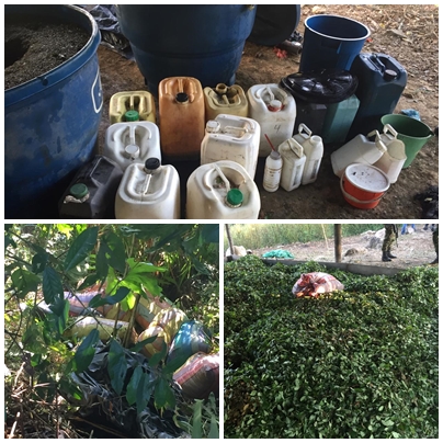 Laboratorio Cajibio