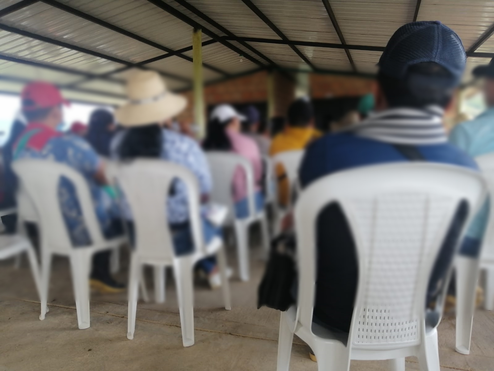 Argelia Campesinos