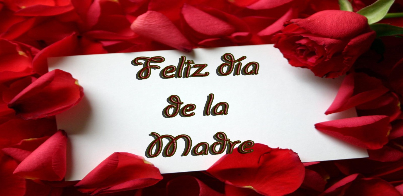ROSA 1