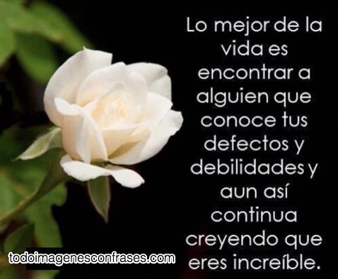 ROSA 2
