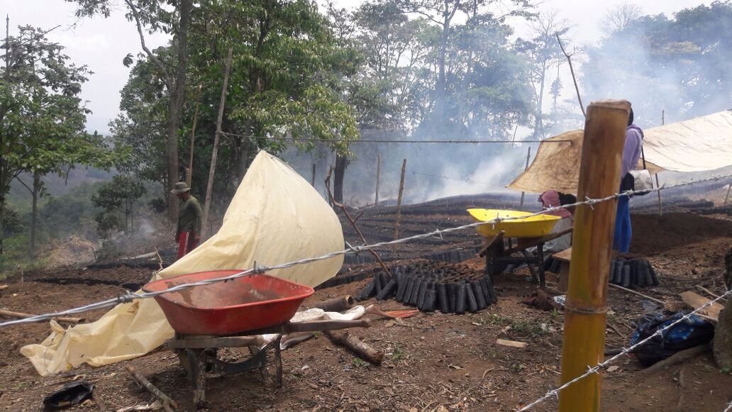 Finca 2