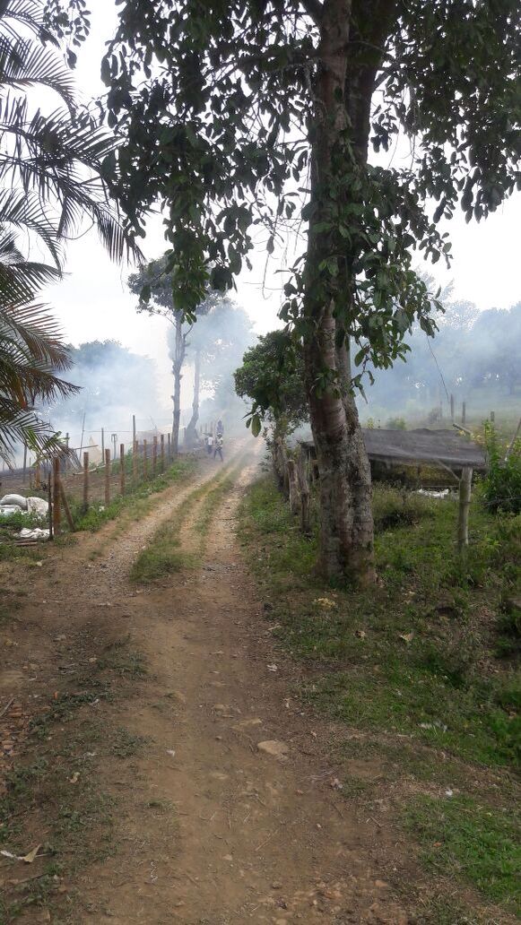 Finca 3