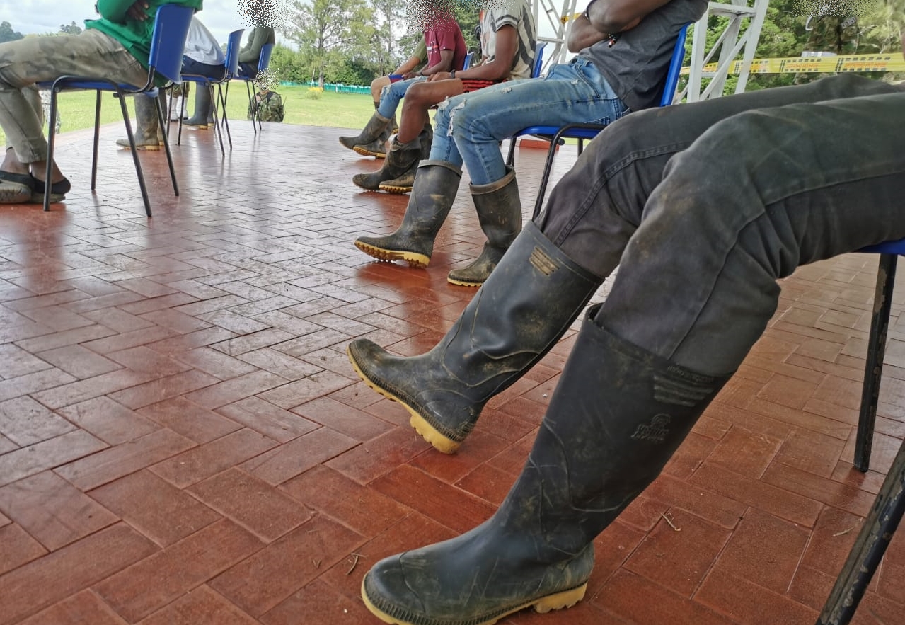 Desmovilizados