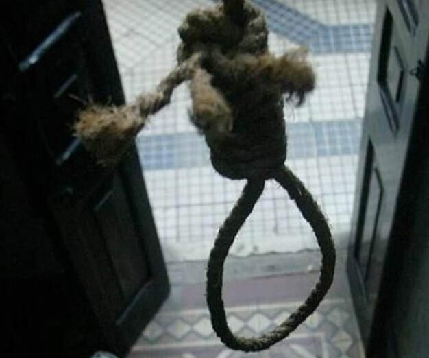 Suicidio