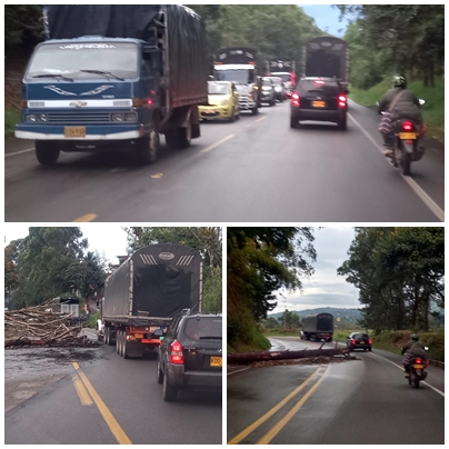 Jueves Panamericana 4