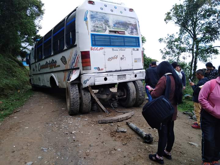 Bus Tren Trasero