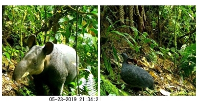 CRC ESPECIES