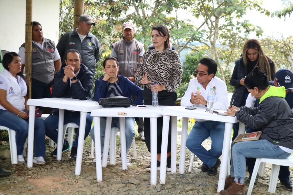 Los Picachos 4