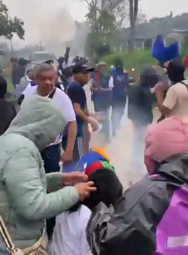 Ataque de Abejas