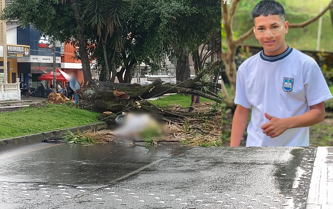 Joven Arbol